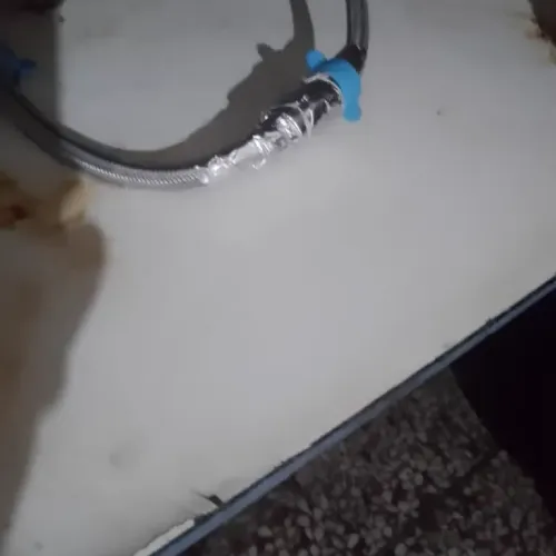 Ion Costea - Visinesti Arad