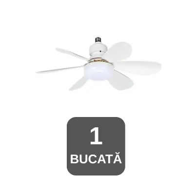 O BUCATĂ