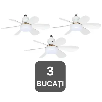 TREI BUCĂȚI