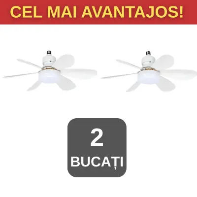 DOUĂ BUCĂȚI